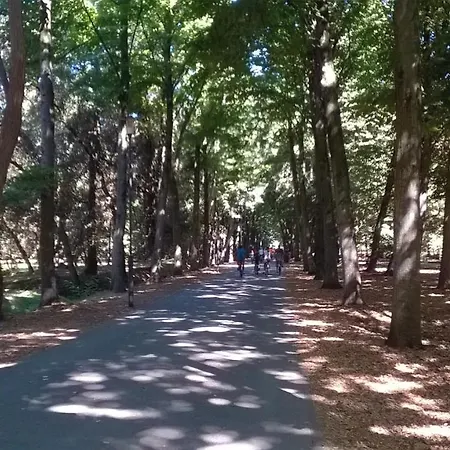 Appartamento La Casa Del Gabbiano *