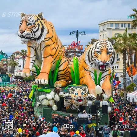 La Casa Del Gabbiano * Viareggio